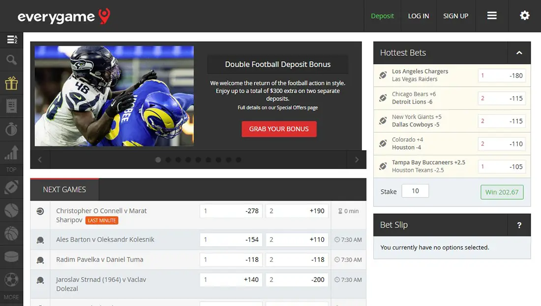 EveryGame website